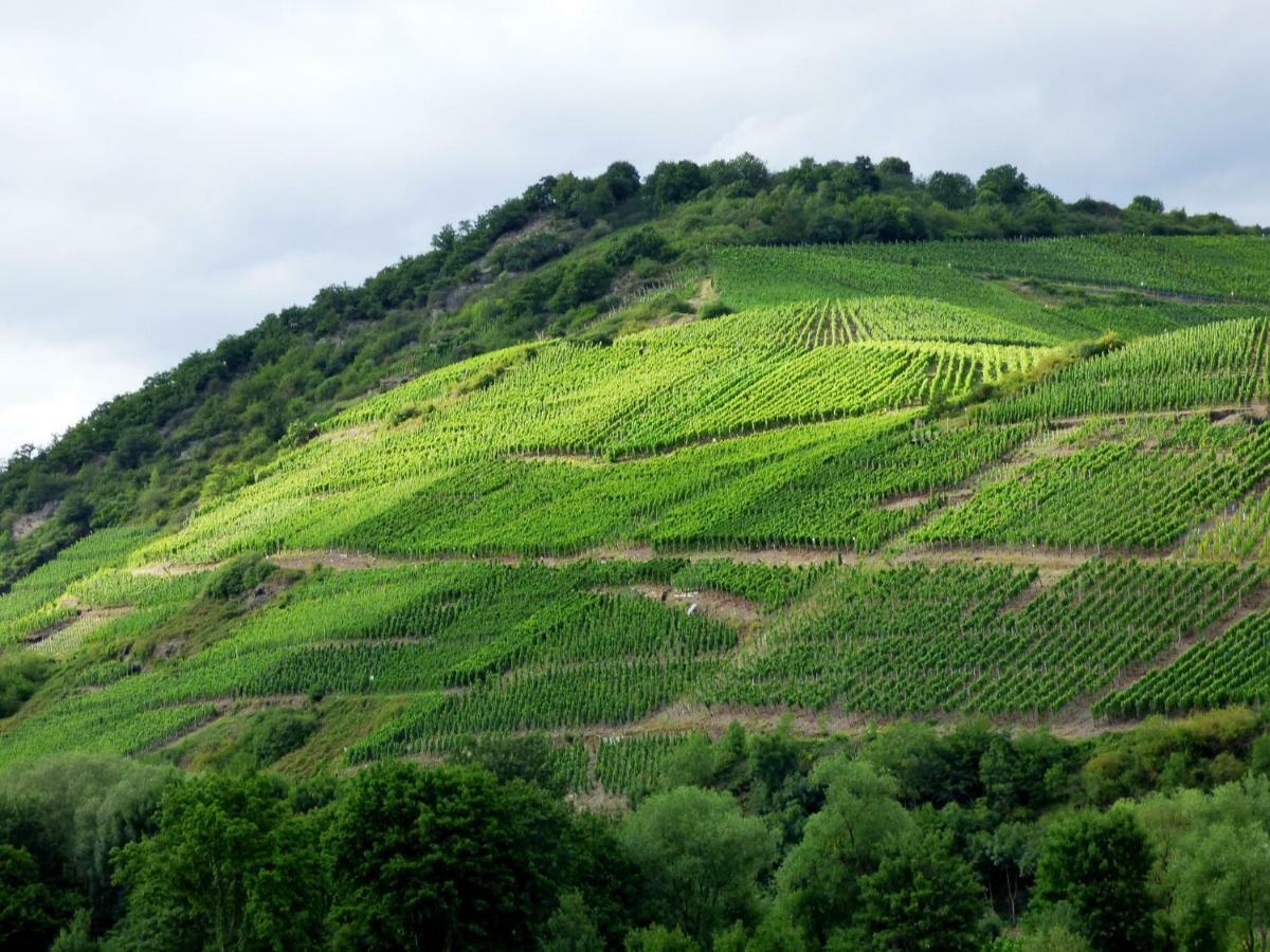 Relaxen Im Alten Winzerhaus Fewo Eg ريتش المظهر الخارجي الصورة