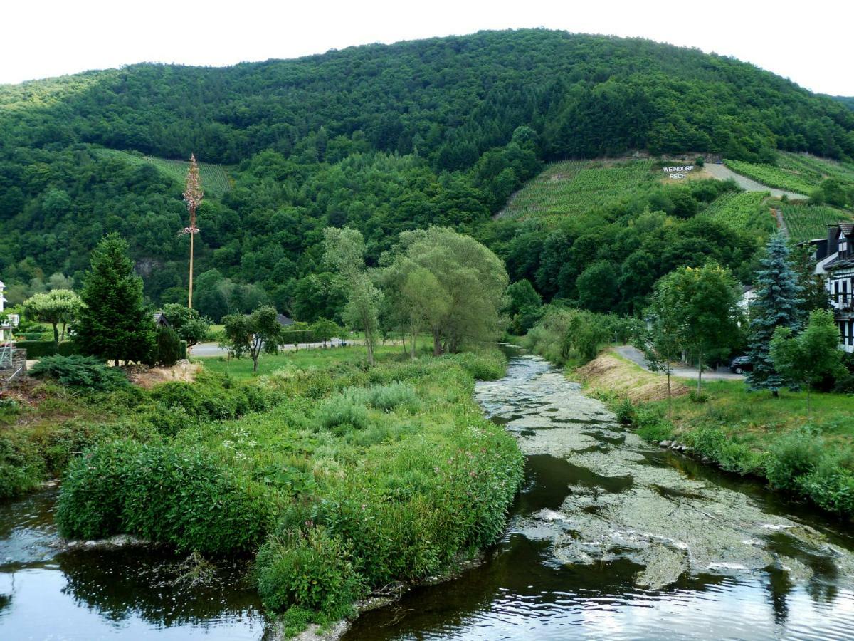 Relaxen Im Alten Winzerhaus Fewo Eg ريتش المظهر الخارجي الصورة